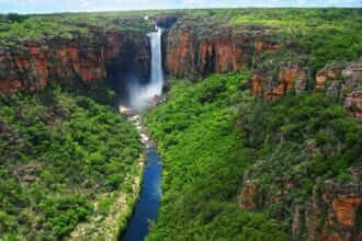 Rejser du til Darwin med autocamper, så er det oplagt at besøge Kakadu National Park.