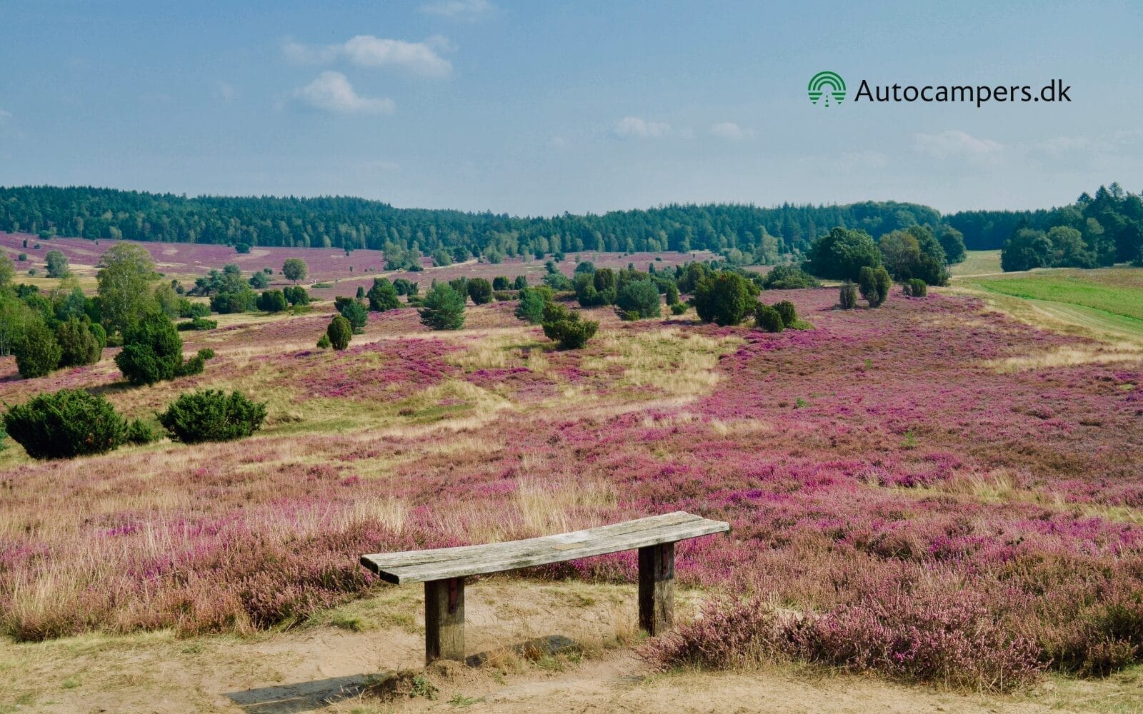 Lüneburger Heide