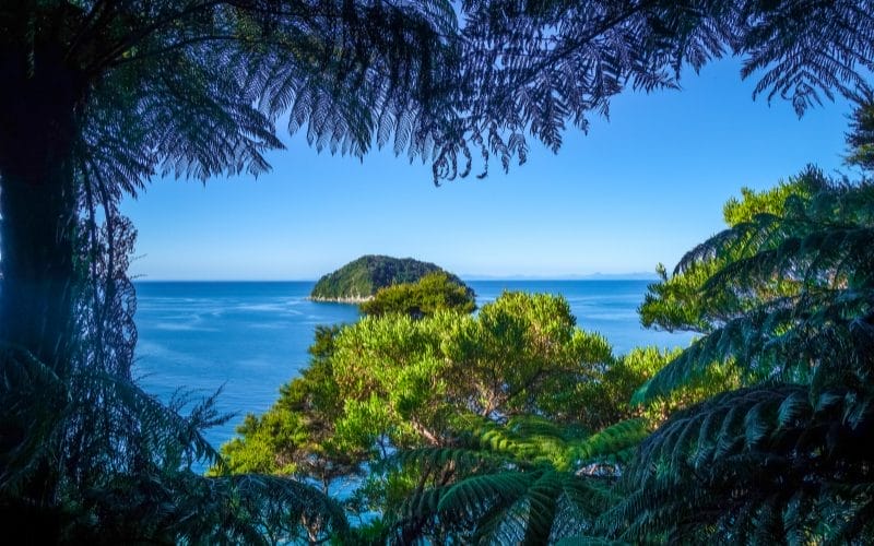 Abel Tasman View