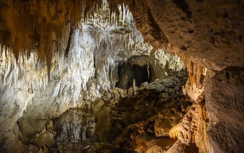 waitomo caves